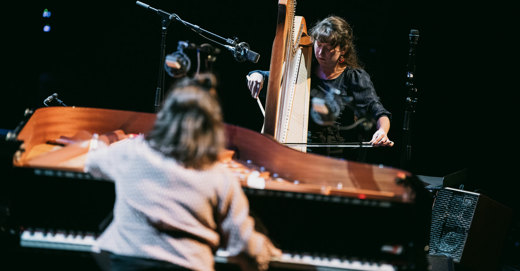 Au fond de la photo, face à nous, Emilie Chevillard joue de la harpe chromatique. Au premier plan, on distingue la silhouette floue de Peggy Buard qui joue du piano.